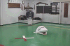 itya1 (212)_samu.gif